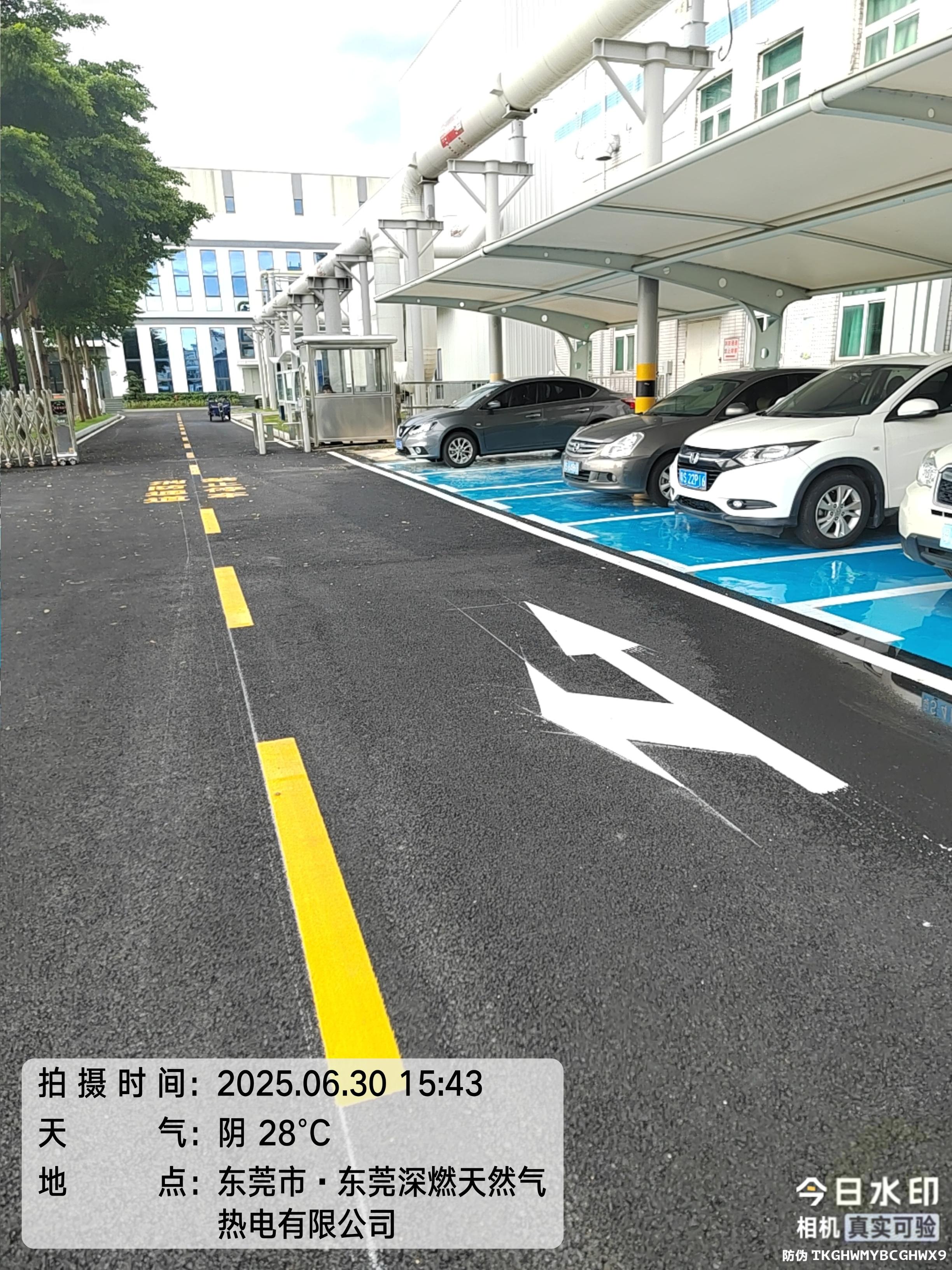 东莞深燃气园区车位与通道划线